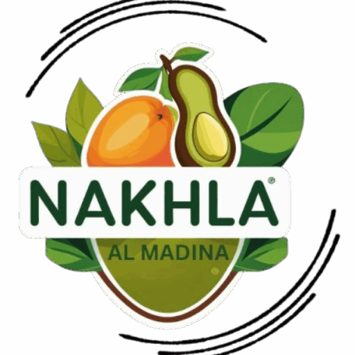 logo-removebg-preview