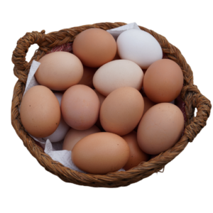 India egg
