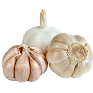 Garlic